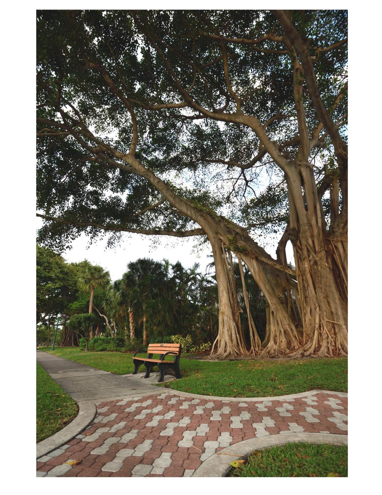 Dog Friendly Condo With Beach Access, Hot Tub, Firepit เวสต์ปาล์มบีช ภายนอก รูปภาพ